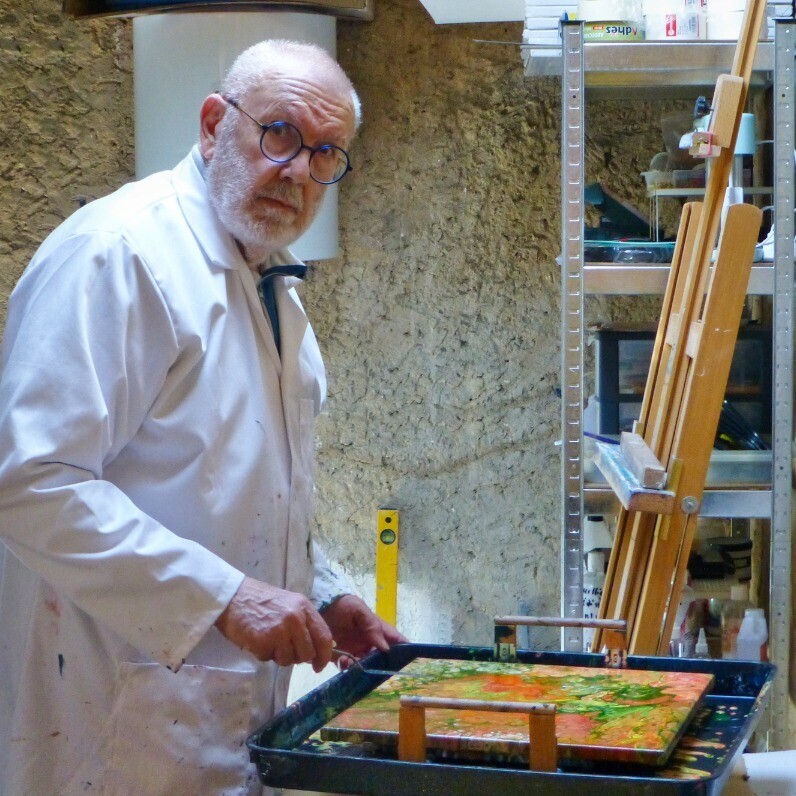 Guy Henri Delvoye (DelSoko)